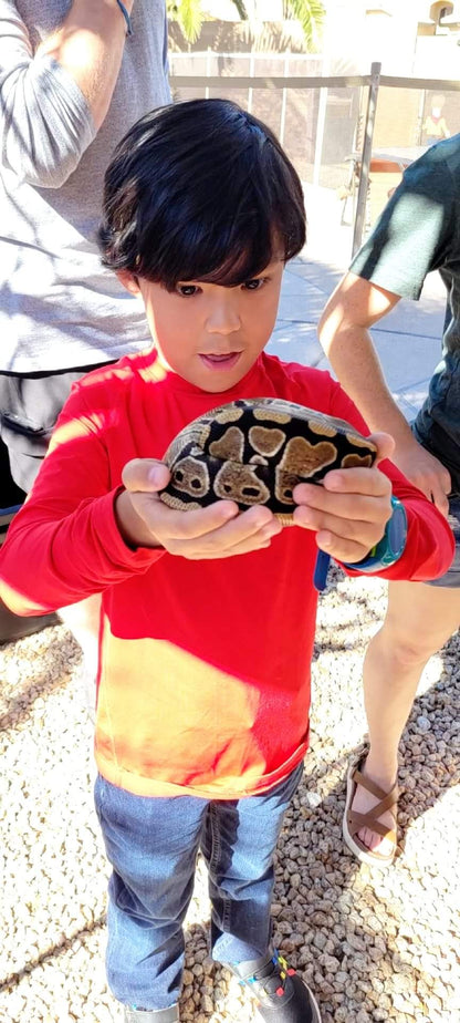 Reptile Party Events - Arizona