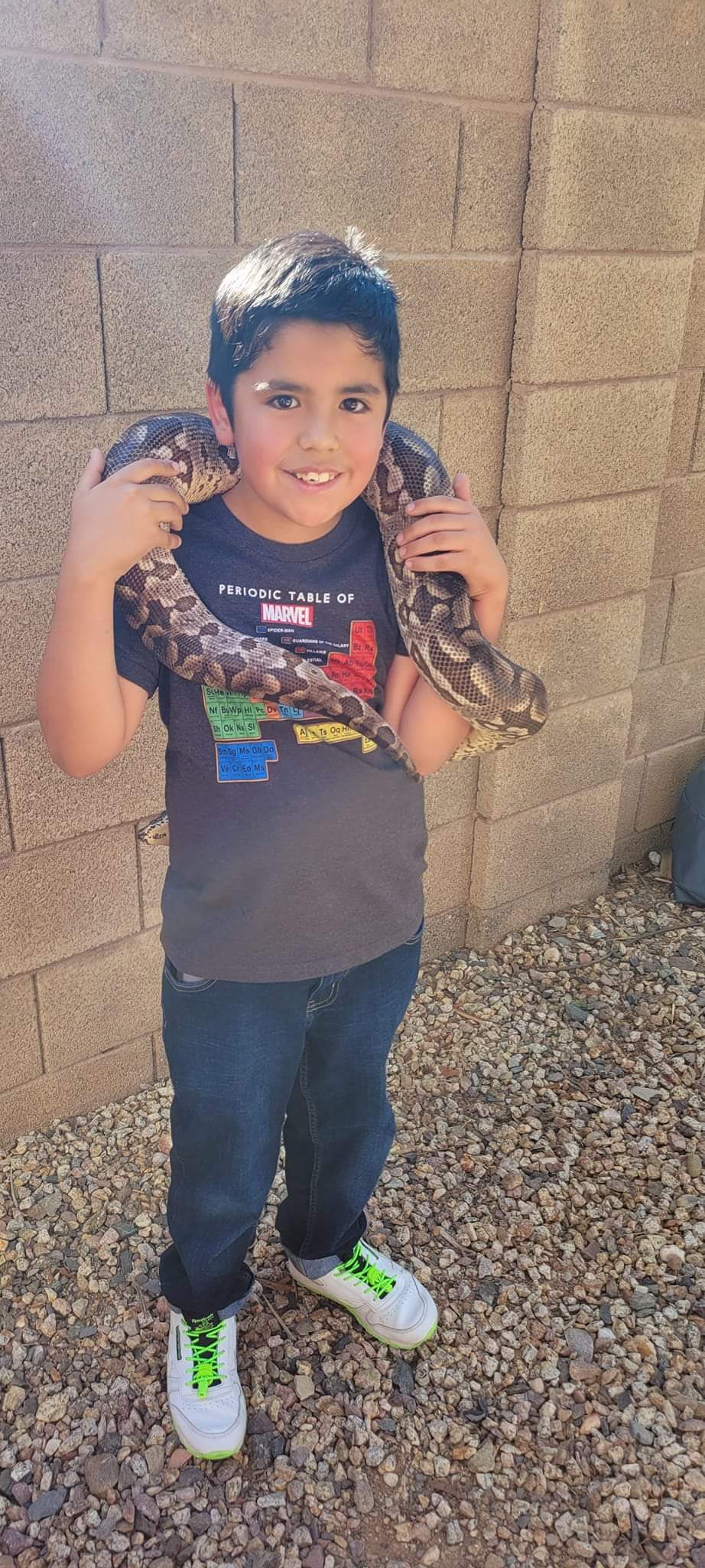 Reptile Party Events - Arizona