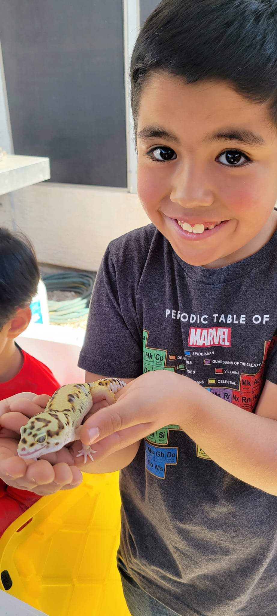 Reptile Party Events - Arizona