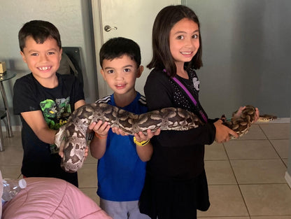 Reptile Party Events - Arizona