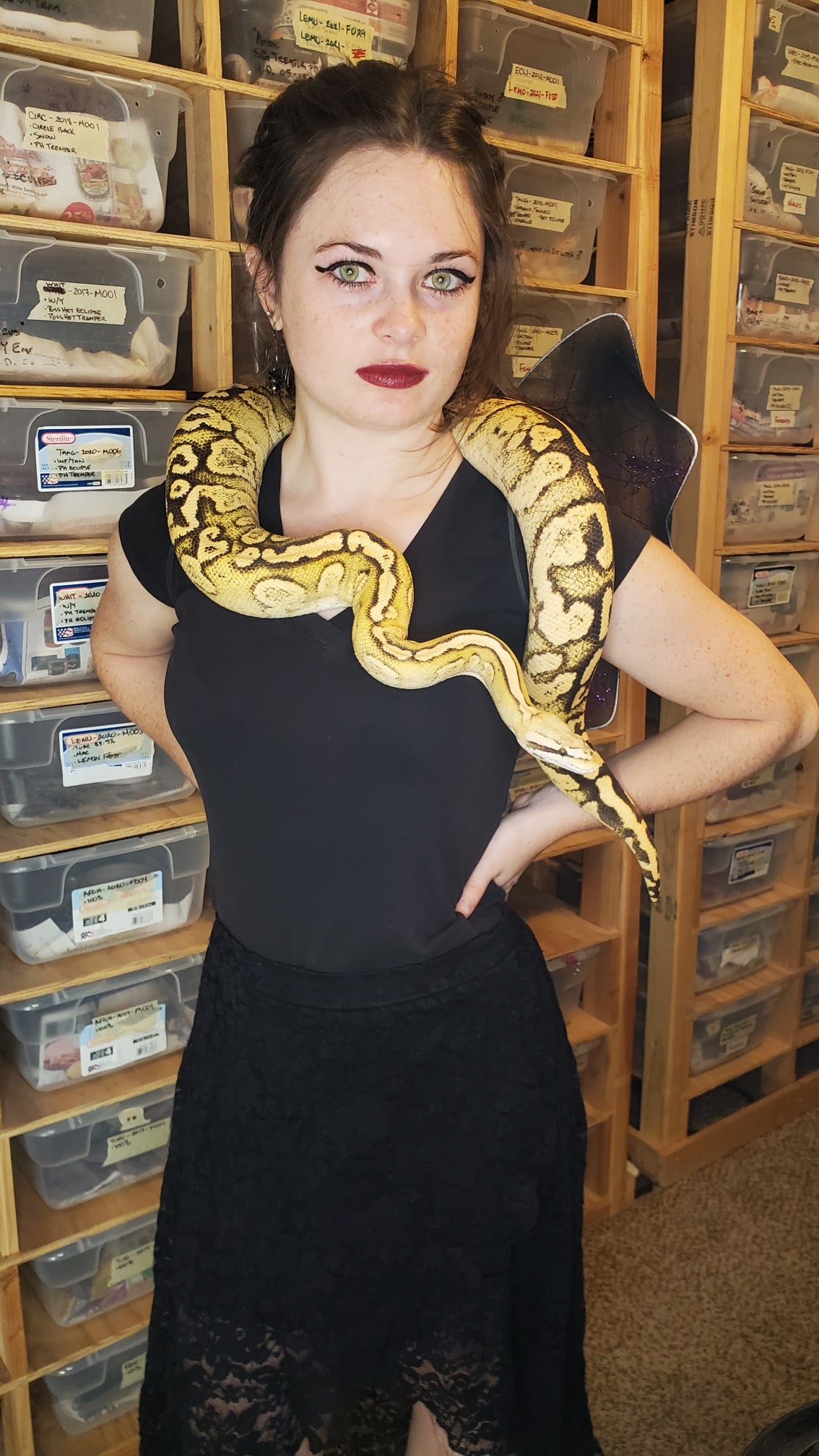 Reptile Party Events - Arizona